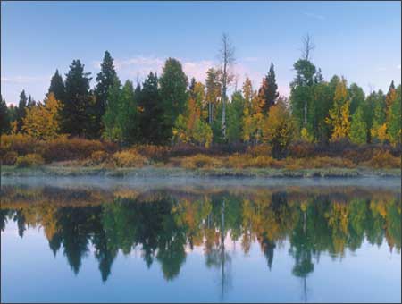 Fall reflection