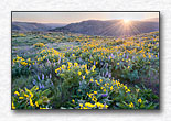 Click for larger view