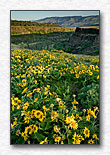 Click for larger view
