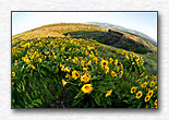 Click for larger view