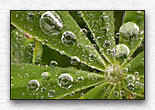 Click for larger view
