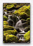 Click for larger view