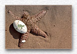 Click for larger view