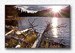 Click for larger view