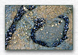 Click for larger view