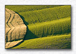 Click for larger view