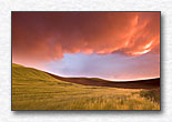 Click for larger view